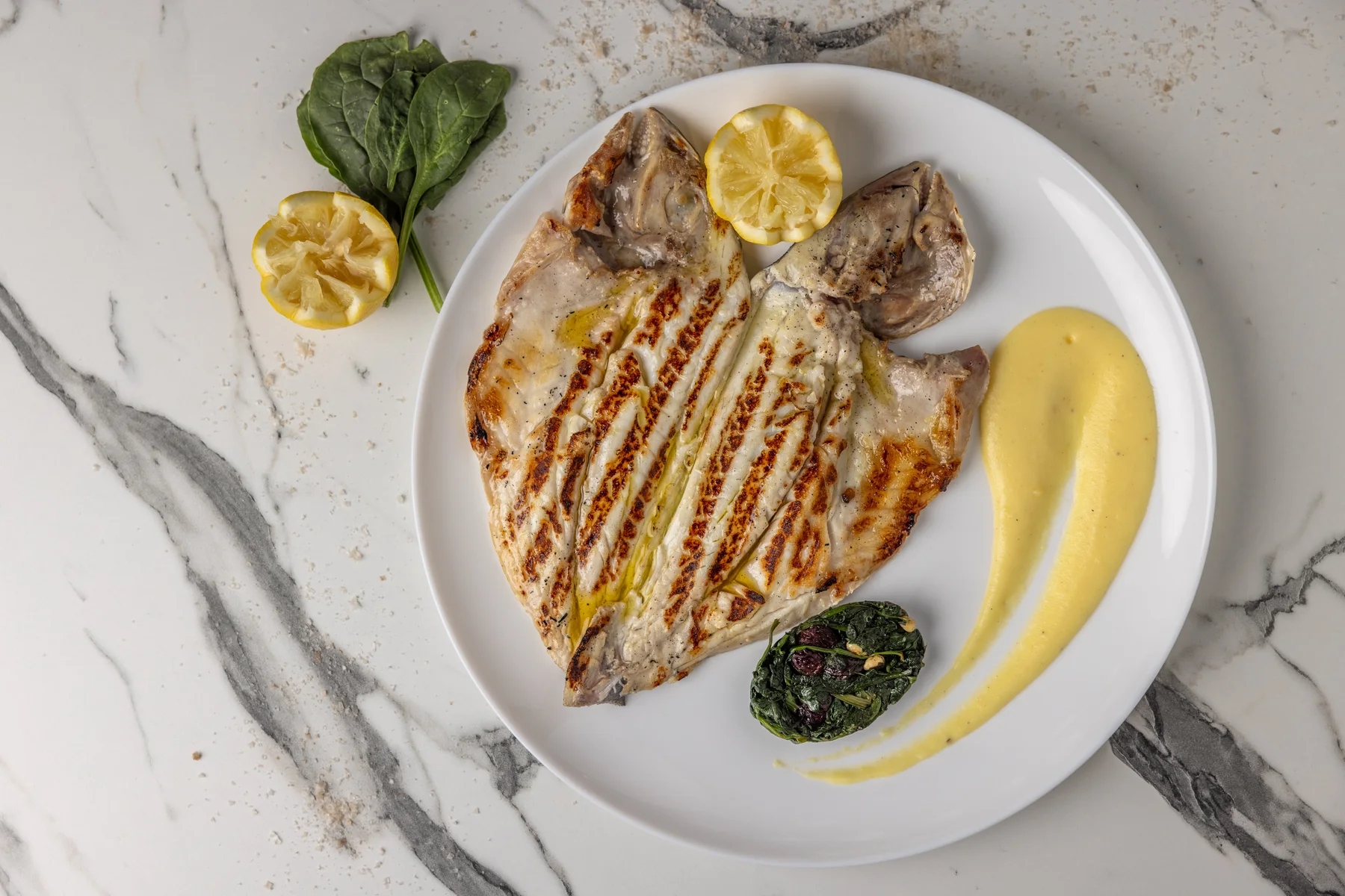 A dish plated at Augusto